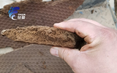 污泥調(diào)理劑處理生化污泥脫水效果如何？-青島仕駿