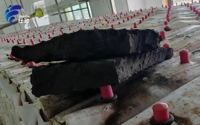 造紙污泥處理，脫水藥劑的選型難點有哪些？-青島仕駿