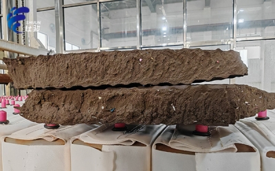 污泥增效劑:解鎖污泥高效脫水、降低含水率的密碼-青島仕駿